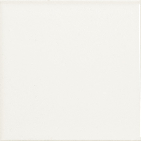 Carnival White