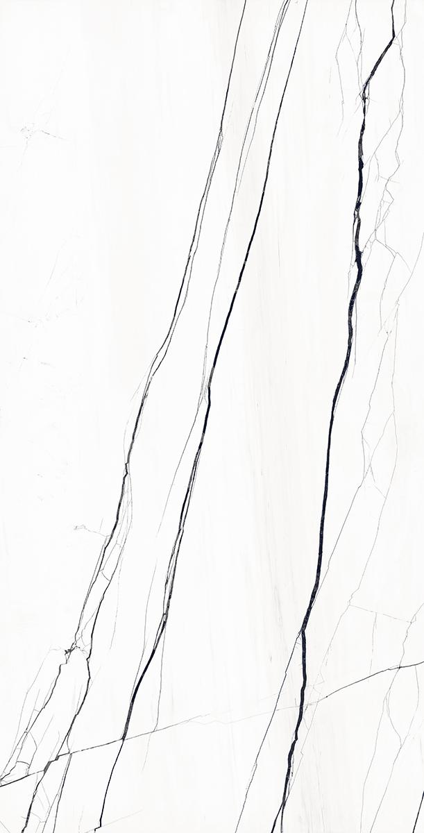 Venato Marble White Full Lappato