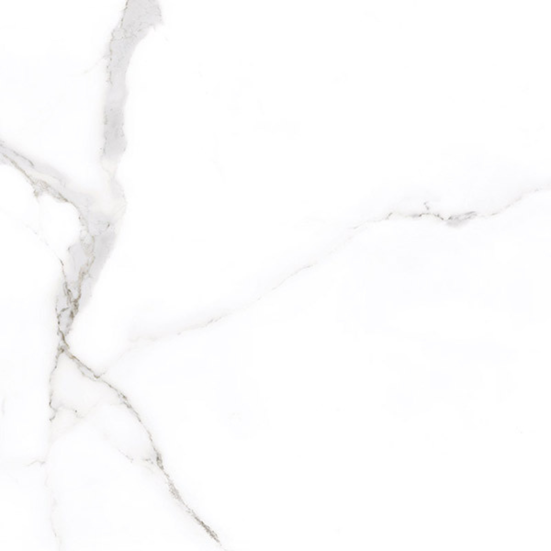 Alsacia Carrara Matt Rectified