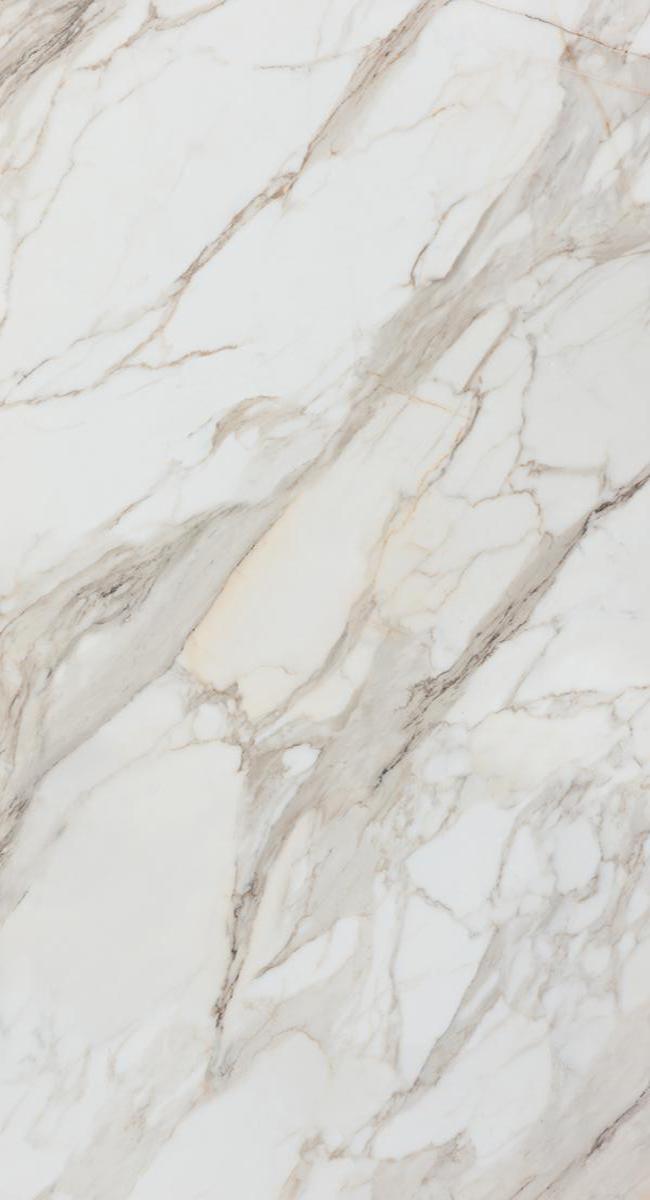 Calacatta Gold White Matt