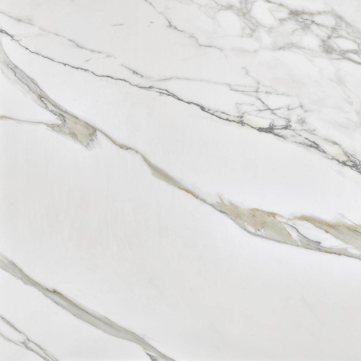 Treviso White Polished