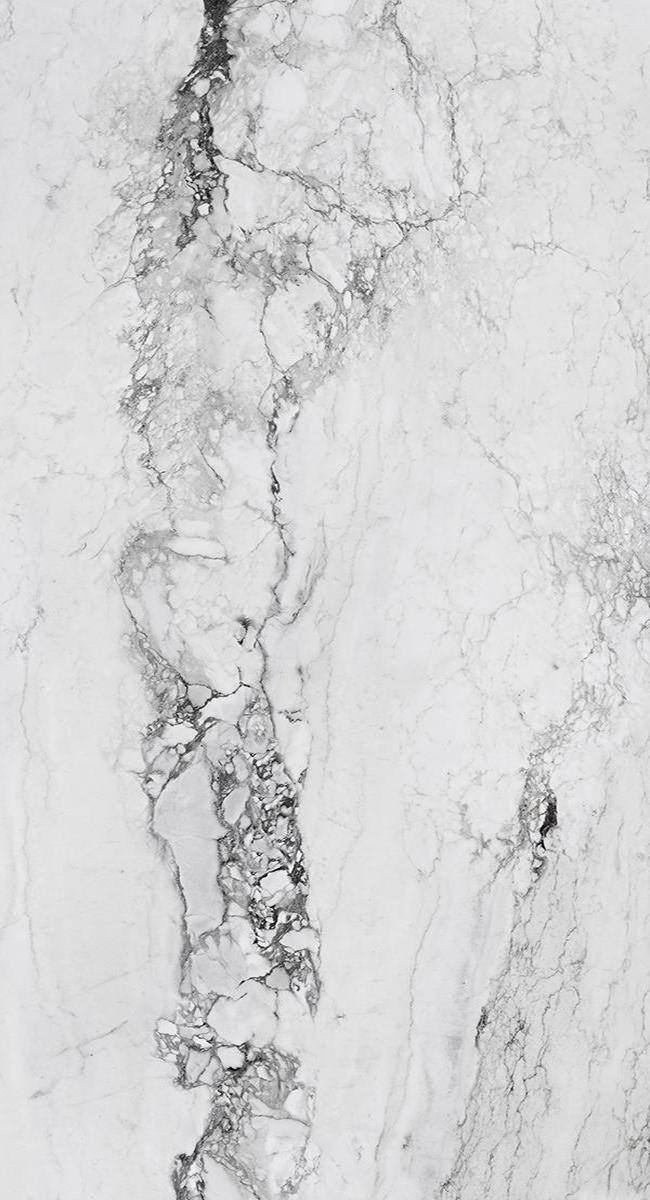 Medicea Marble White Matt