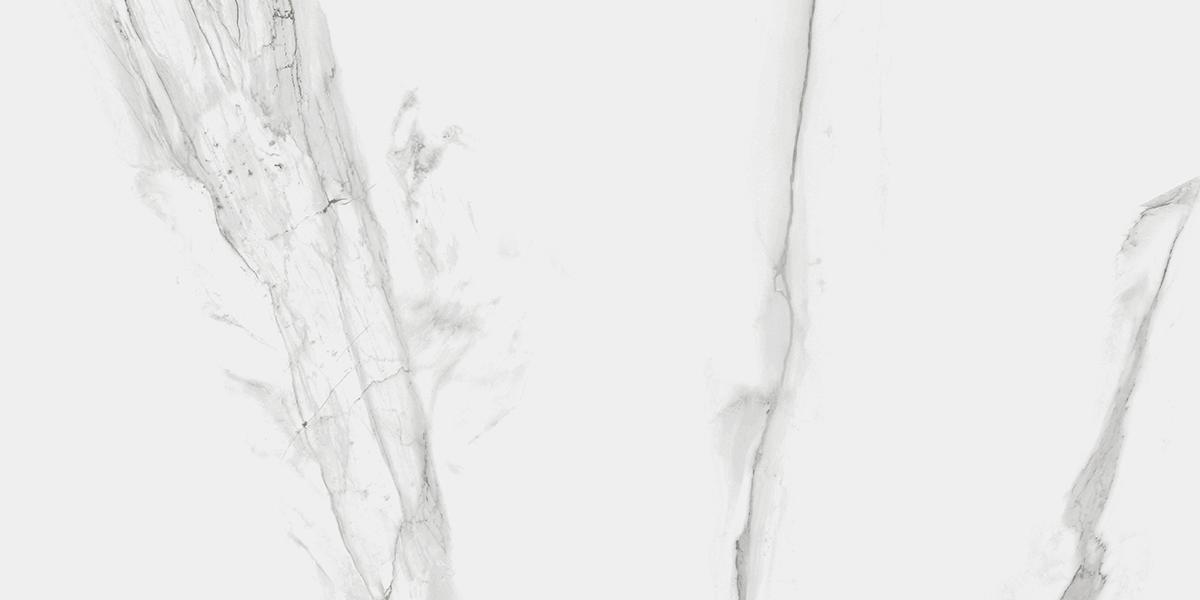 Classic Carrara Grey Full Lappato