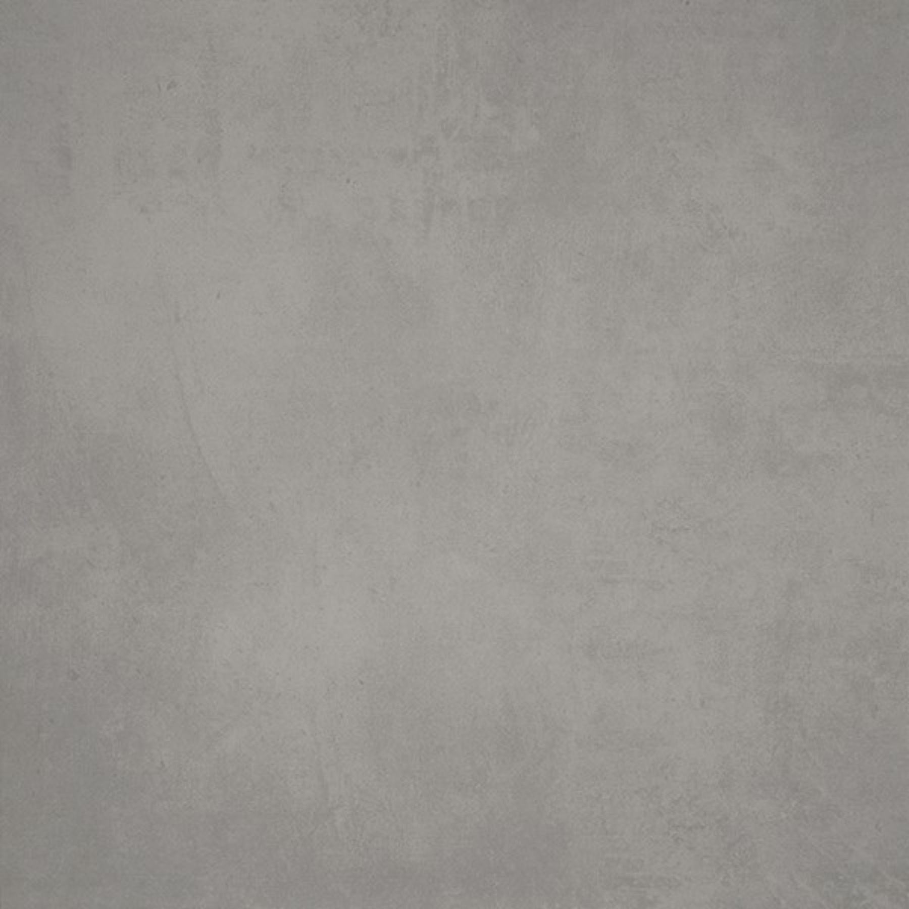 Alba Grey