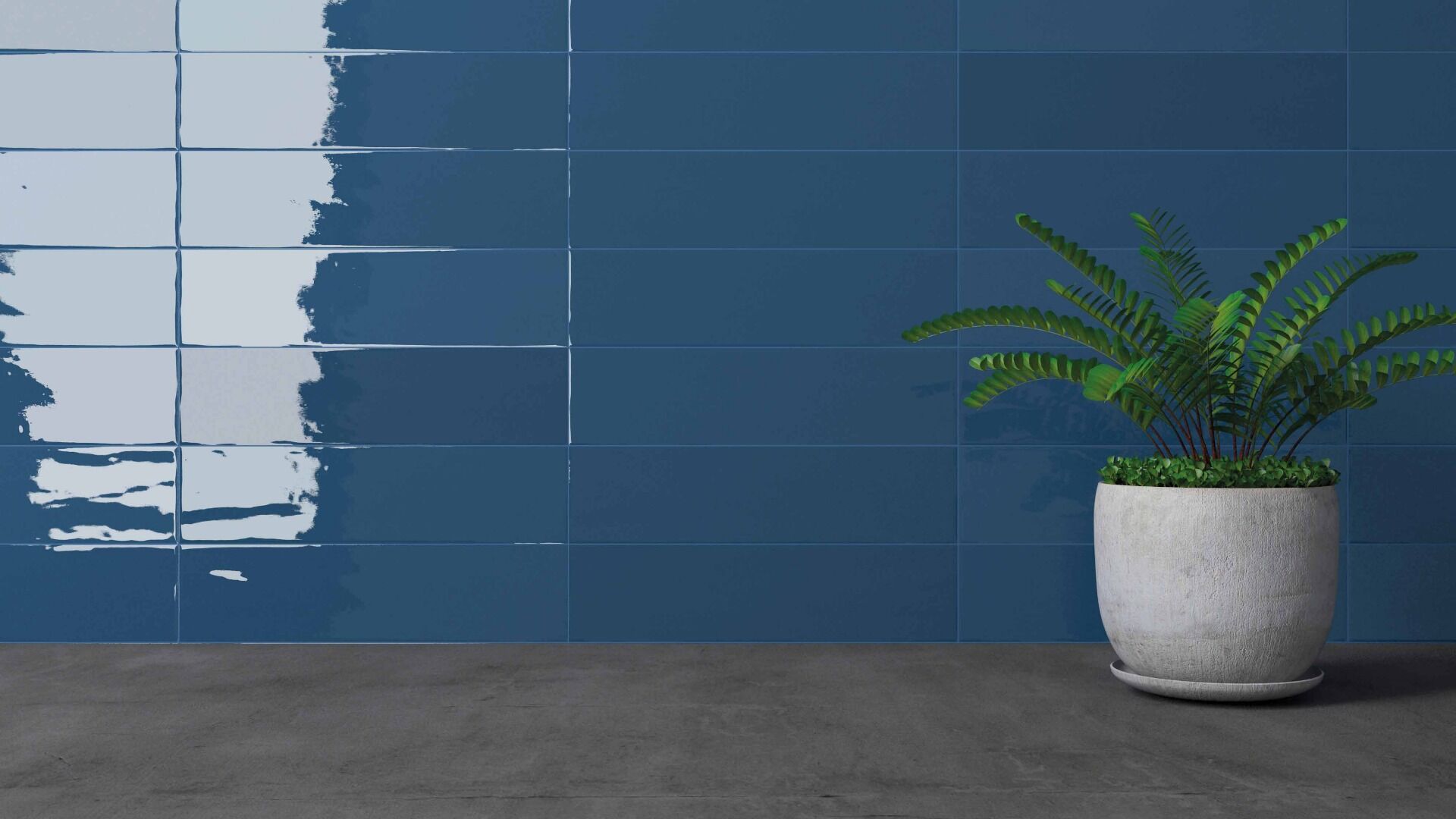 Gradient Plain Denim Gloss