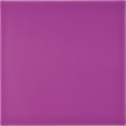Carnival Morado